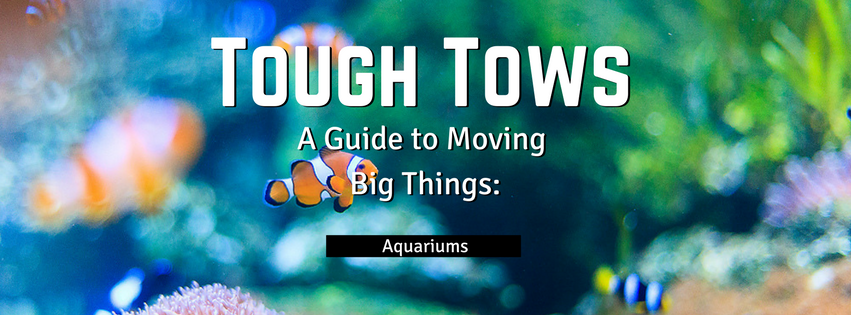 Tough Tows - Aquariums